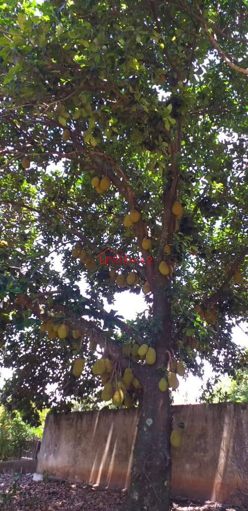 Terreno, 2540 m² - Foto 31