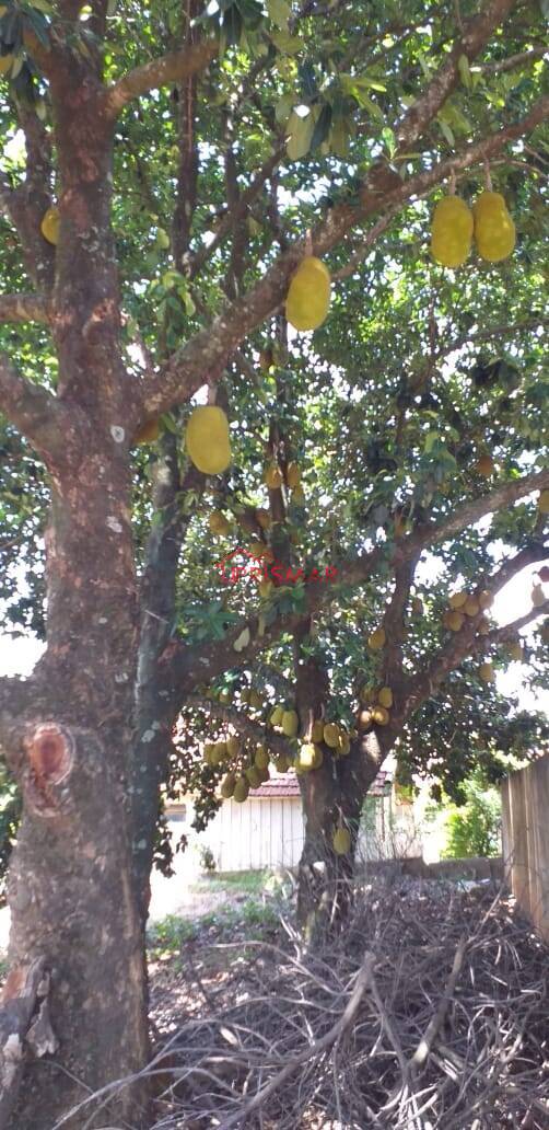 Terreno, 2540 m² - Foto 26