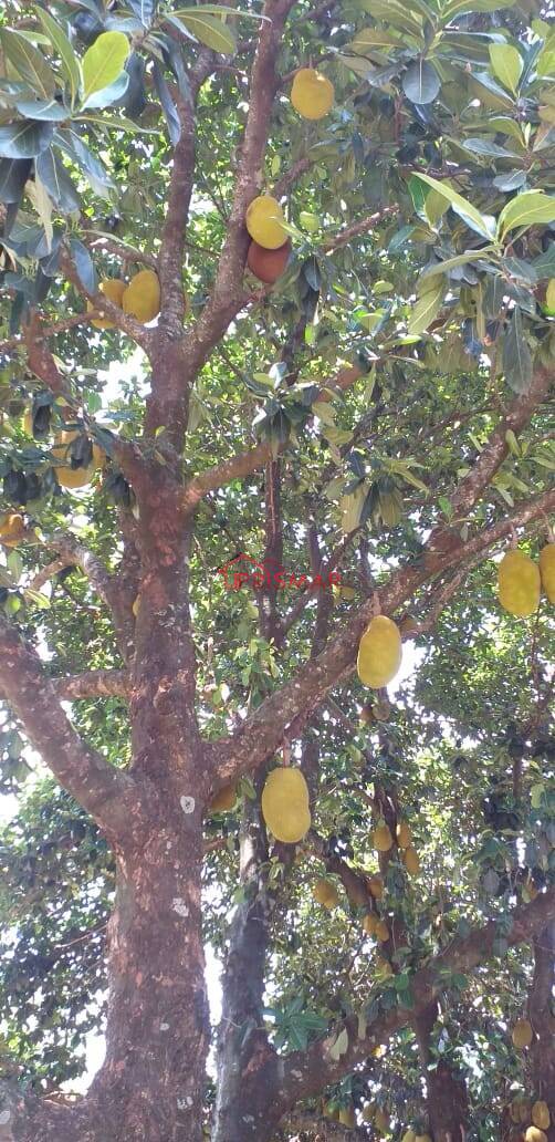 Terreno, 2540 m² - Foto 27