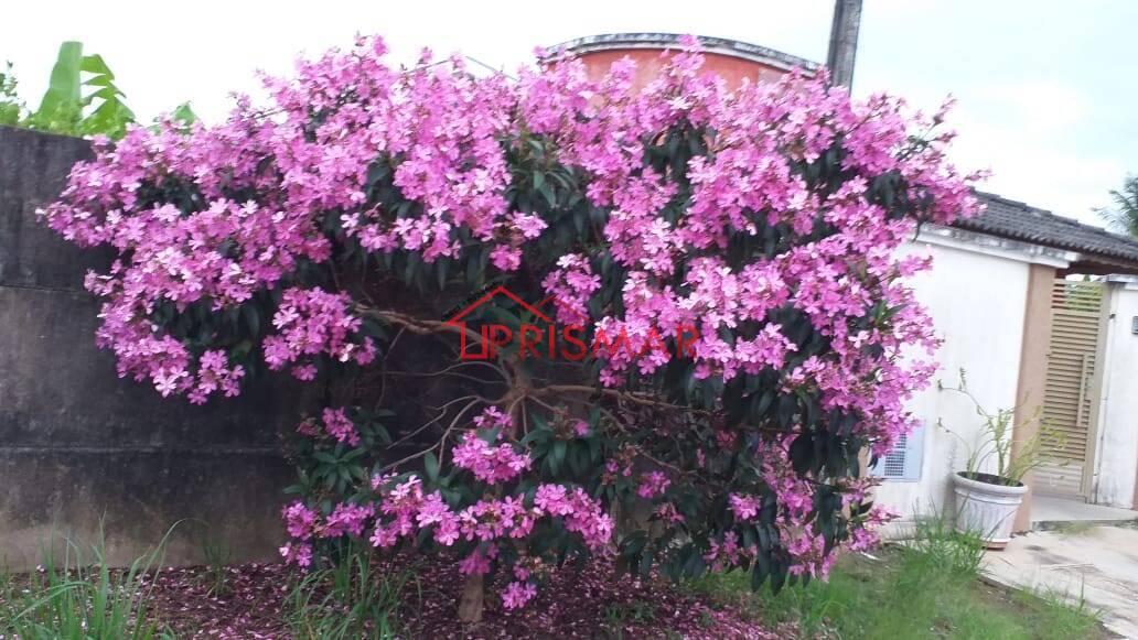 Terreno, 2540 m² - Foto 32