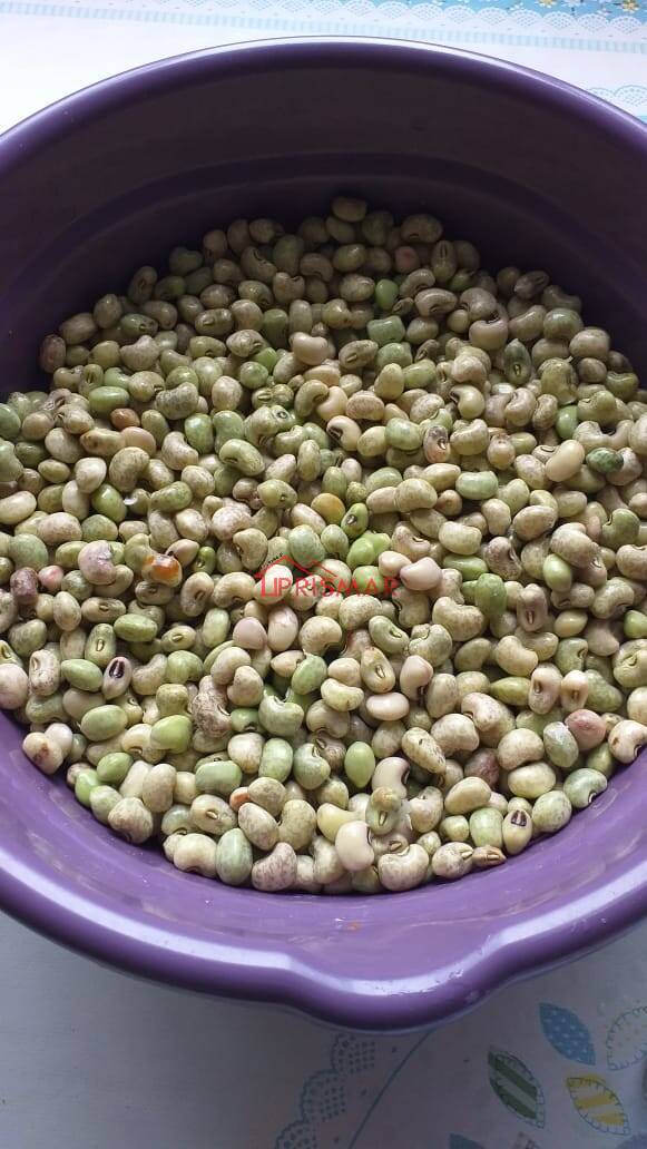 Terreno, 2540 m² - Foto 37