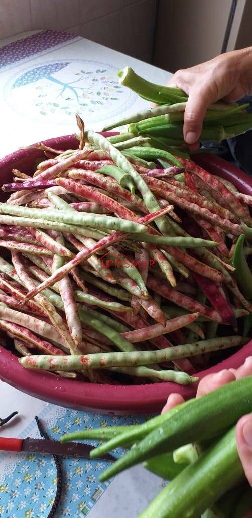 Terreno, 2540 m² - Foto 36