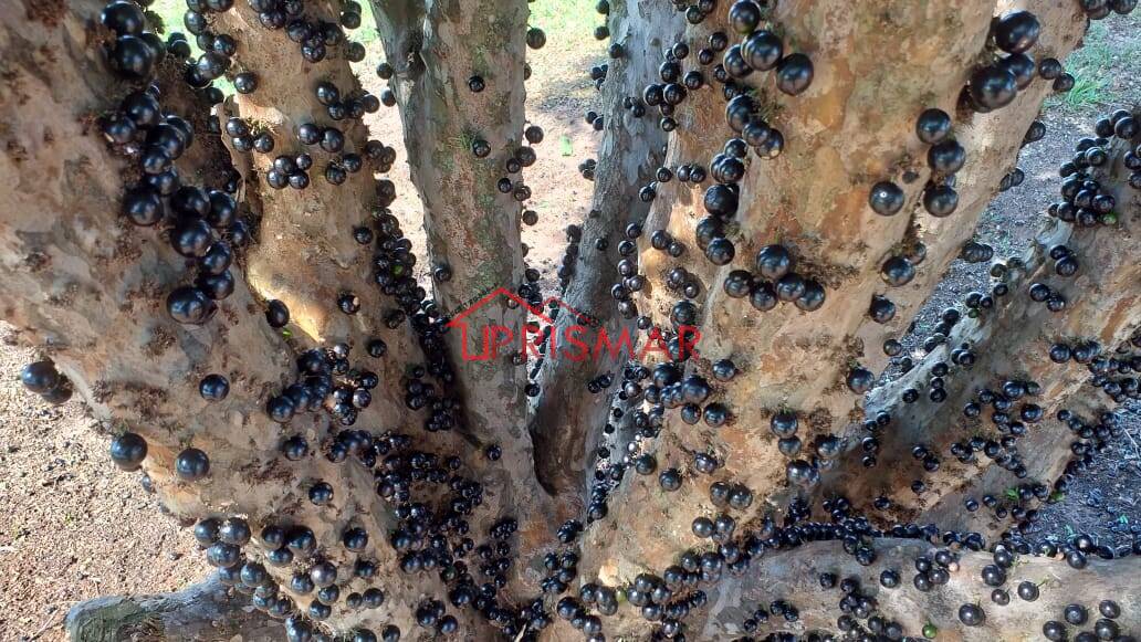 Terreno, 2540 m² - Foto 43