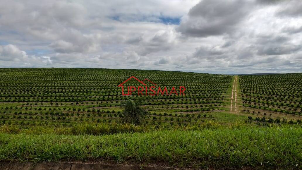 Terreno, 2540 m² - Foto 47