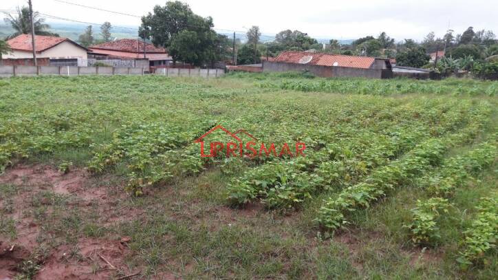 Terreno, 2540 m² - Foto 6