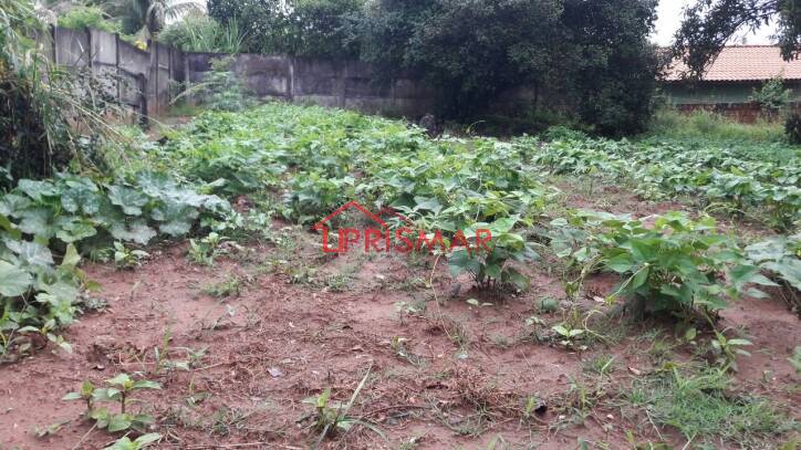 Terreno, 2540 m² - Foto 7